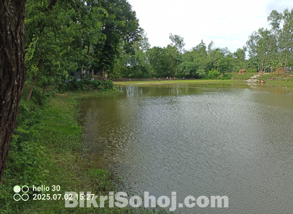 জমি